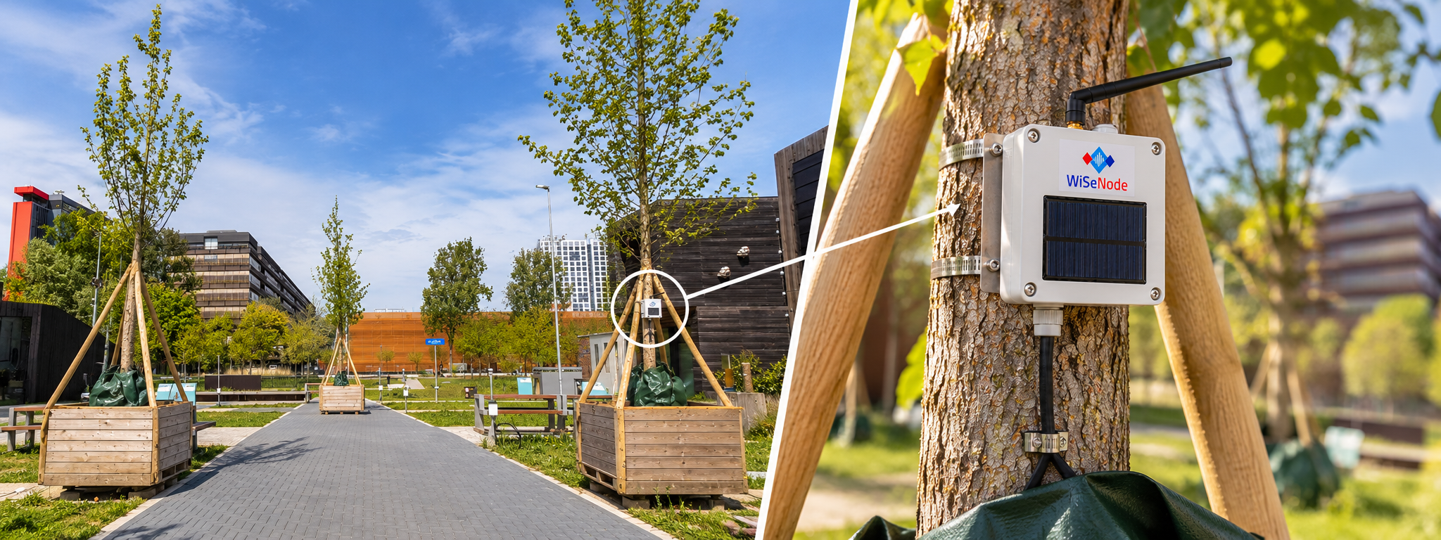 Wisenode on Hitteplein Greenvillage TU Delft